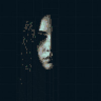 Mysterious Portrait In Bricks